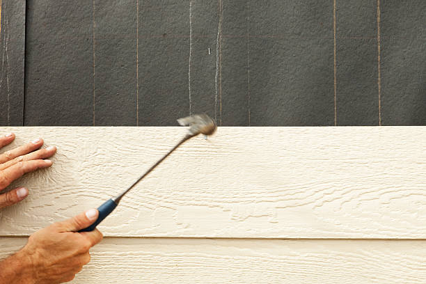 Best Storm Damage Siding Repair  in Opelousas, LA